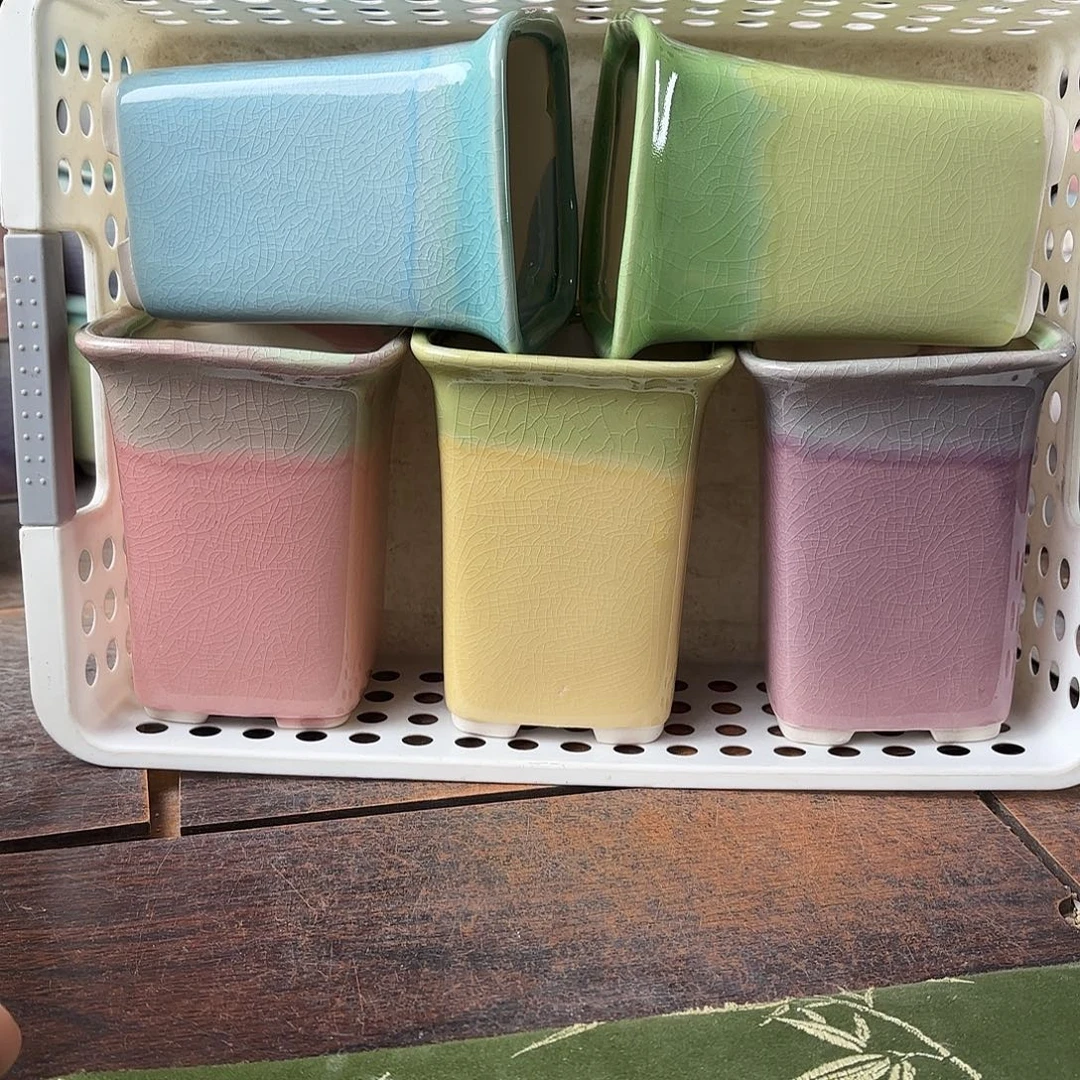 量货/7口高11深浅搭配发4