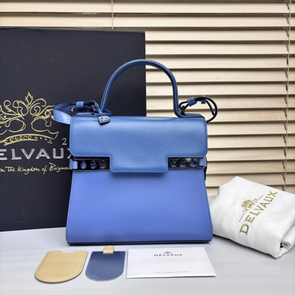 95新/包包/德尔沃/250226EL0017