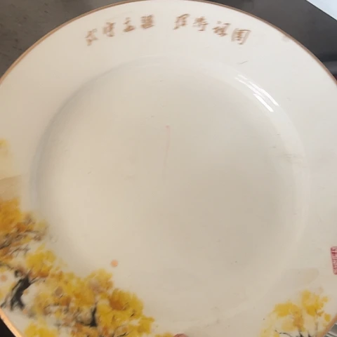 陶瓷10寸盘一个陶瓷