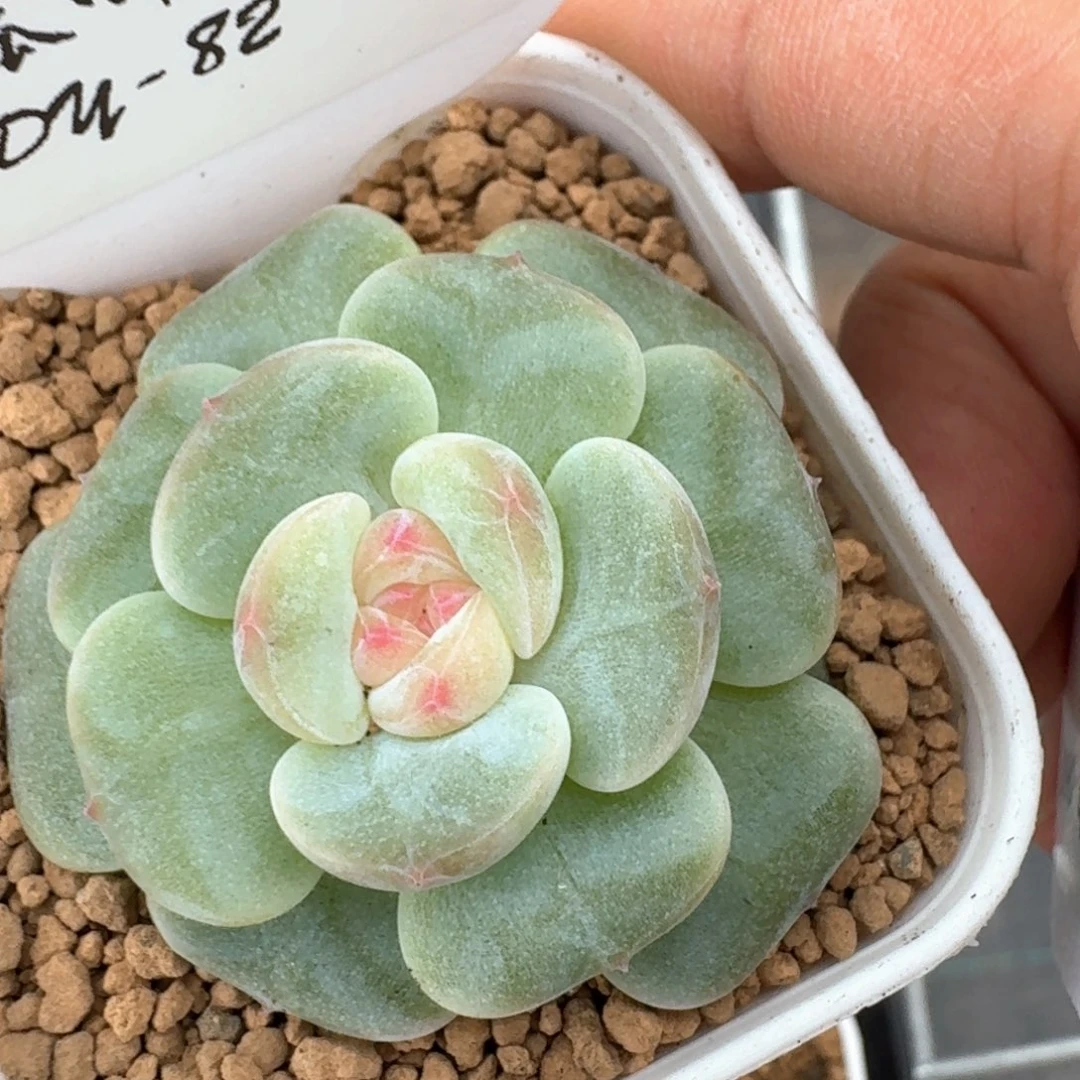 0610-082-汉白玉单头