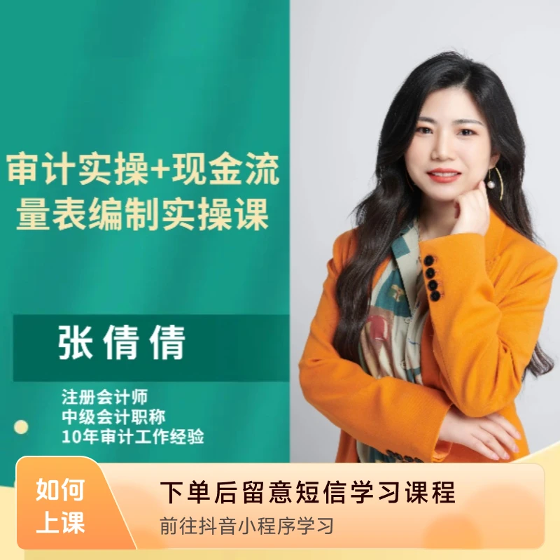 会计师事务所审计实操课（年审+专审）+现金流量表编制实操课
