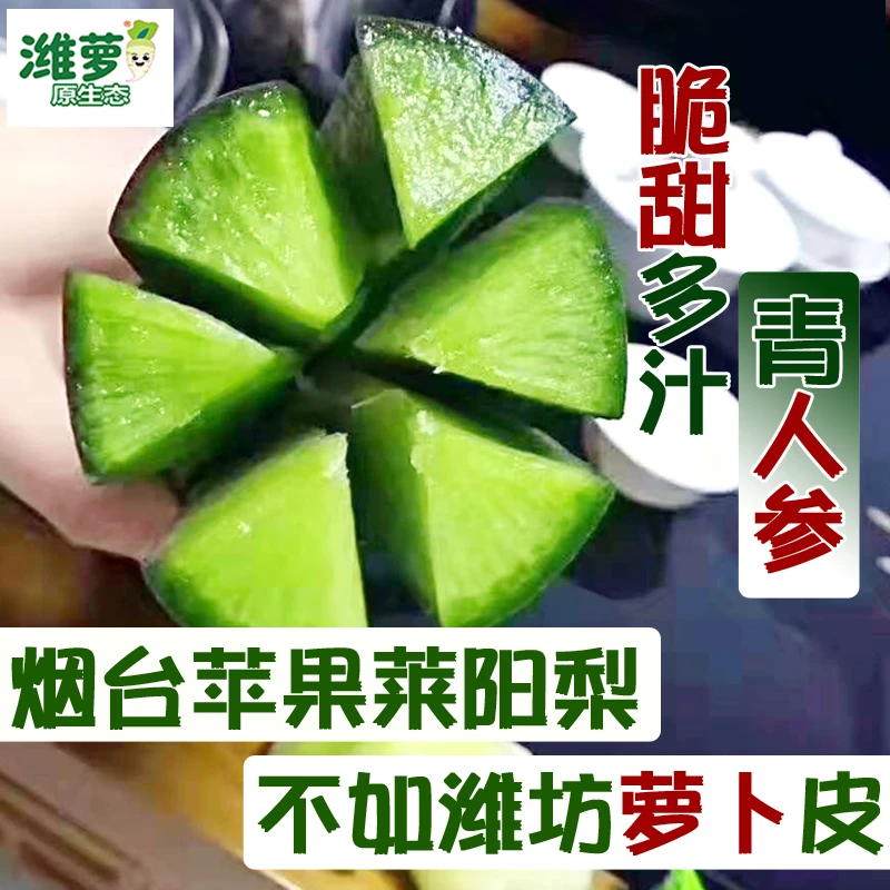 “潍萝青蜜”品质款/本店独有/非普通电商货/潍县潍坊水果萝卜5斤