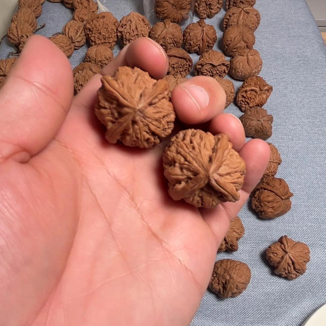 核桃核桃核桃核桃