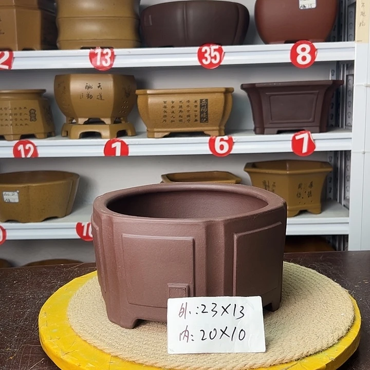 花盆紫砂你在一起