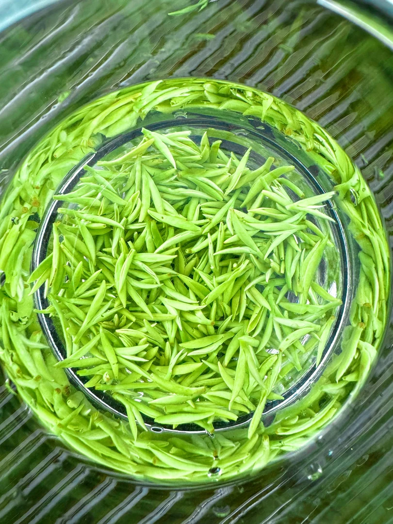 开园小米芽2025年⑤新茶【雪芽】明前头采茶树顶芽核心产区