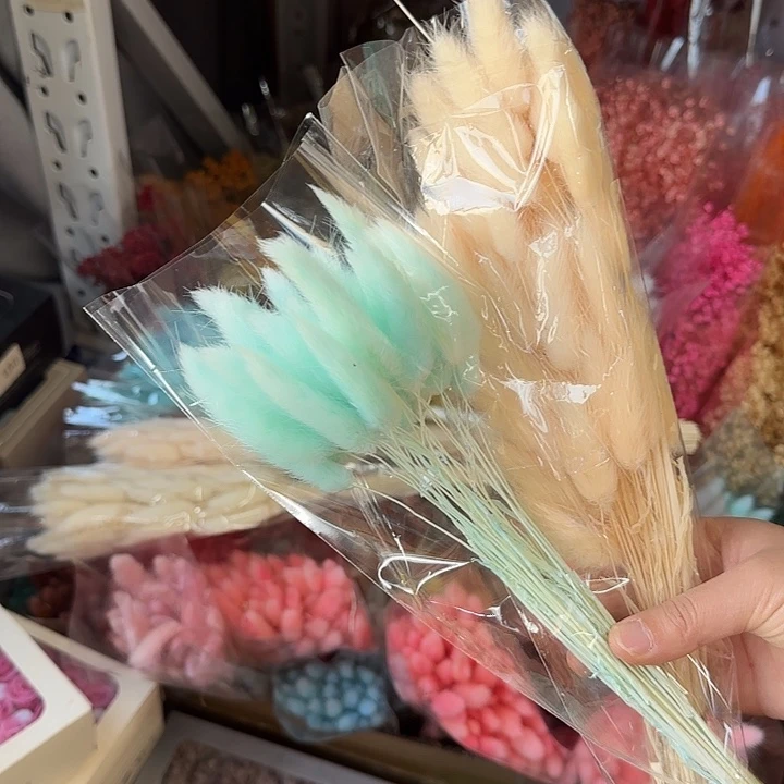 完全开放蓝色加米白色兔尾草2把