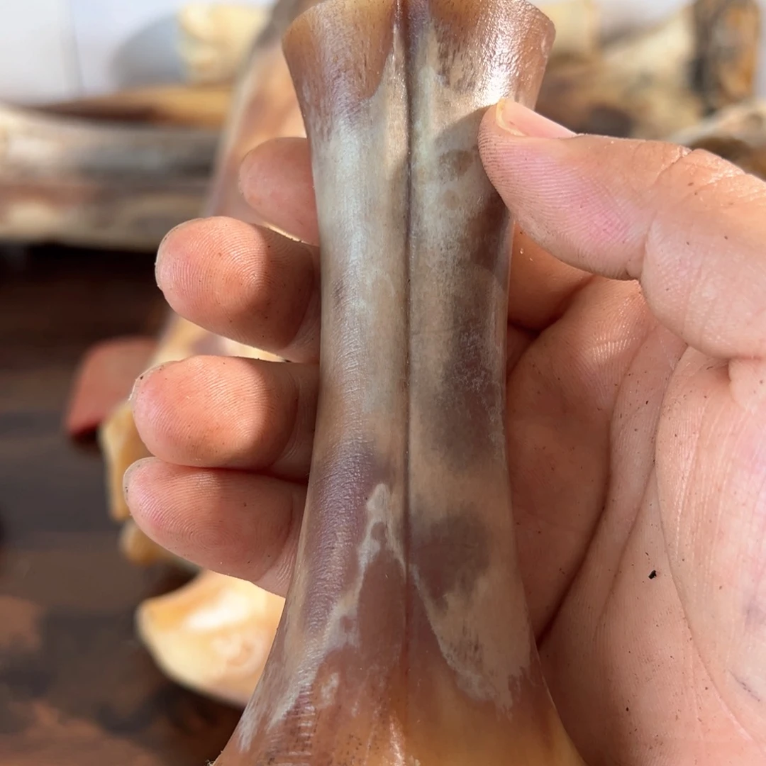 用***人搪瓷hhhu中骨骨骨骨骨骨