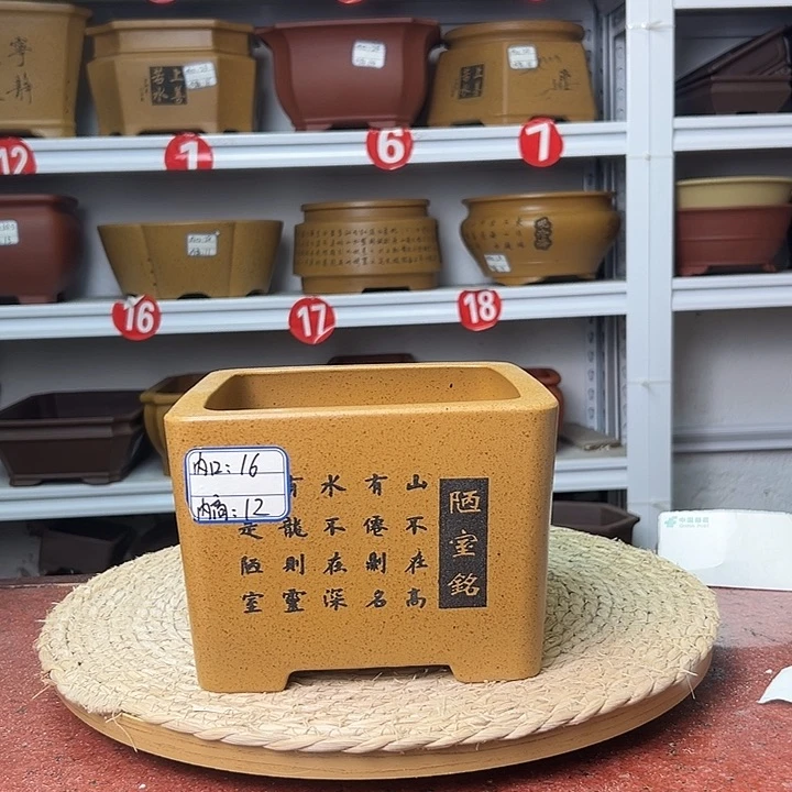 紫砂花盆蛇年大吉