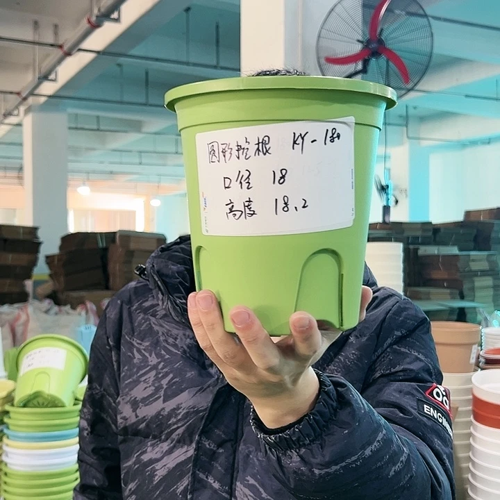 正品圆控口18高18果绿无托8只