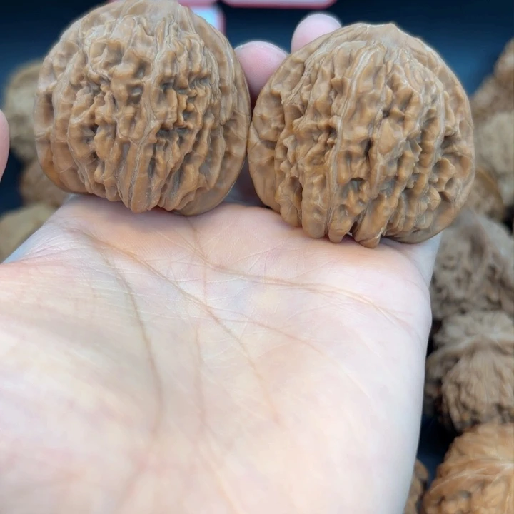 44全品无修全品无修全品无修