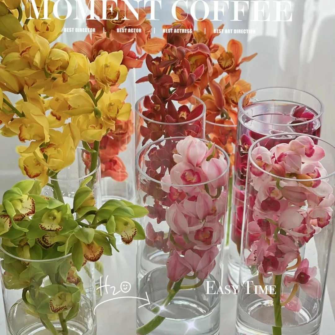 25款【大花蕙兰】多花多色系鲜花朵插花束鲜切花卉云南「好养活」顺丰