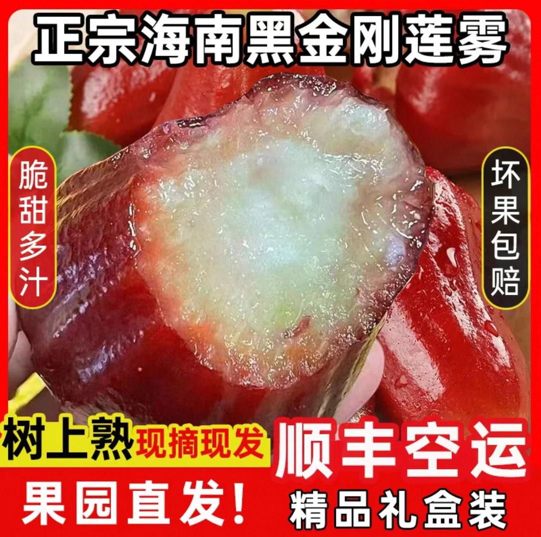顺丰（空运）海南三亚莲雾新鲜采摘清甜多汁当季热带水果
