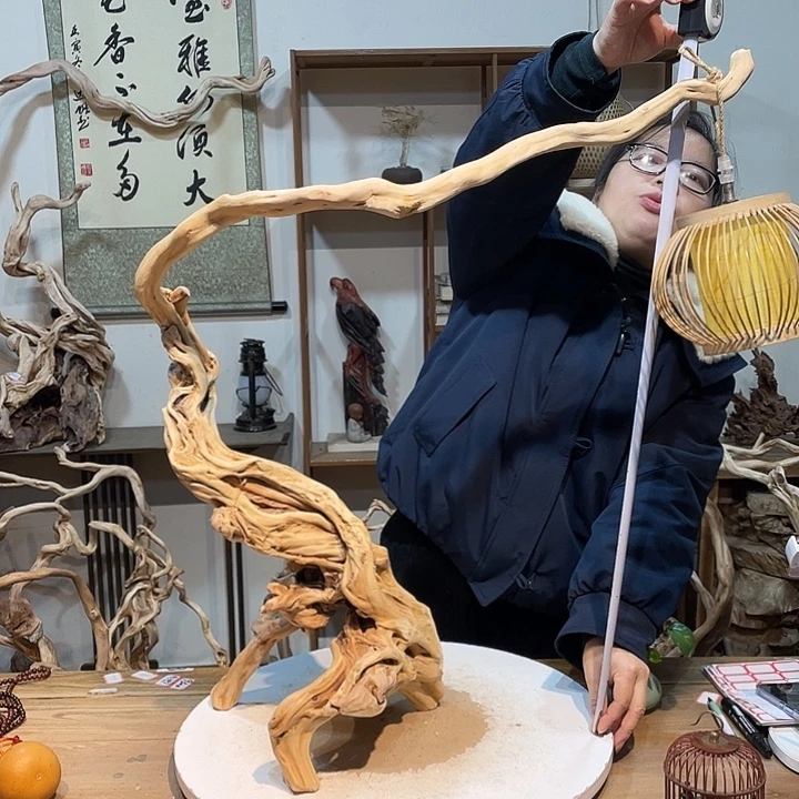 木杜鹃根根艺摆件20