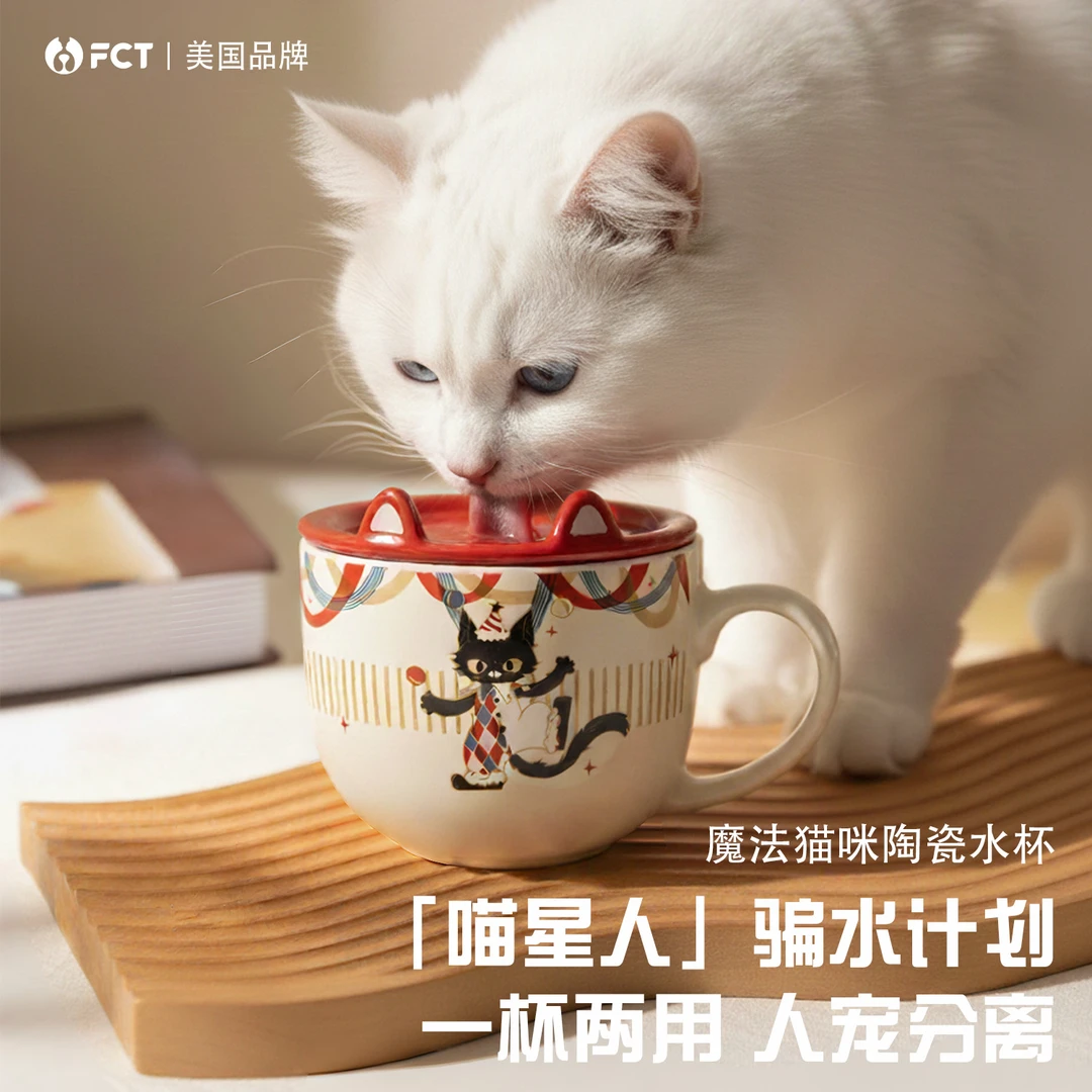 FCT猫咪陶瓷饮水杯一杯两用养猫新手必备饭粮水碗食盆