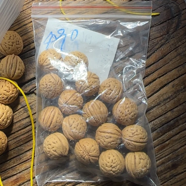 幽***人桃核吊坠盘锦大肌肉