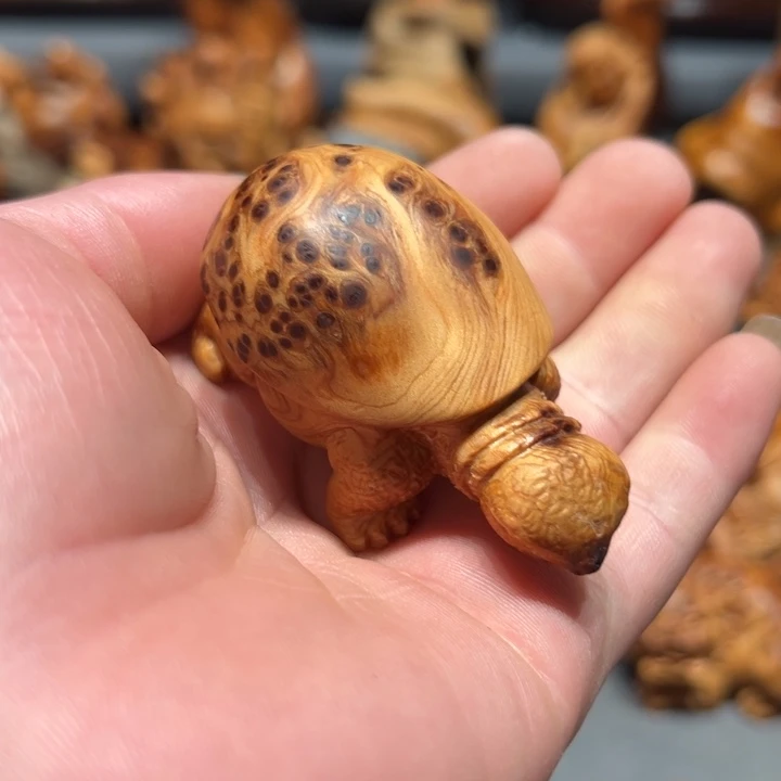 柏木（崖柏）点点关注，