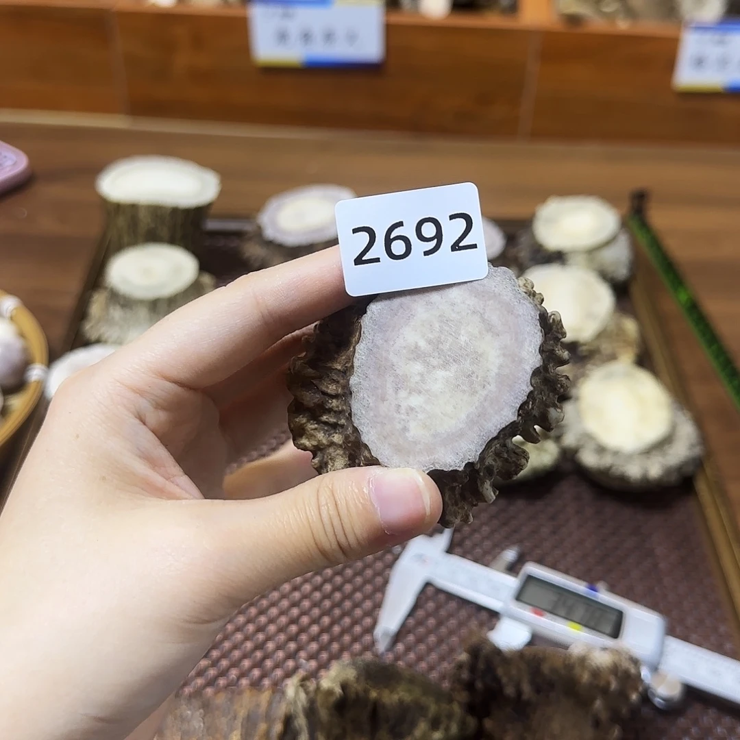 手串/手链鹿骨2692角帽