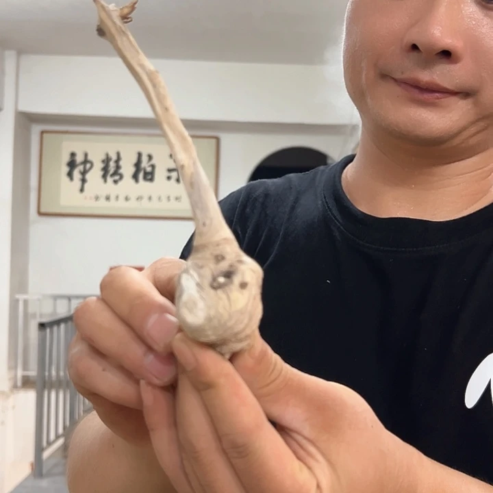 柏木张*三我们的生活是以自己