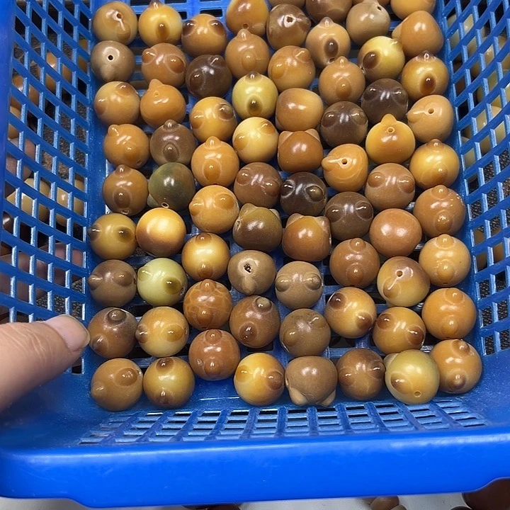 菩提根/象牙果吊坠