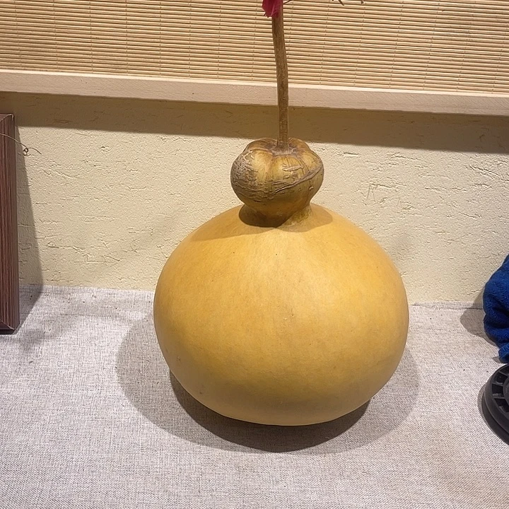 用***2仿木不包邮不保龙头