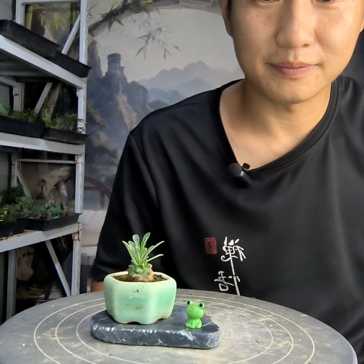 小*?中青园艺一物一拍215