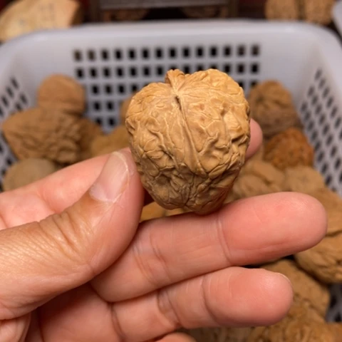 ****❀文玩核桃把件核桃