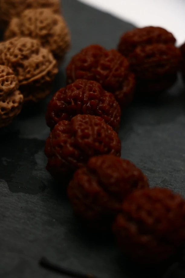 《巨龙》粗筋立体爆肉蜂王蜂窝双龙