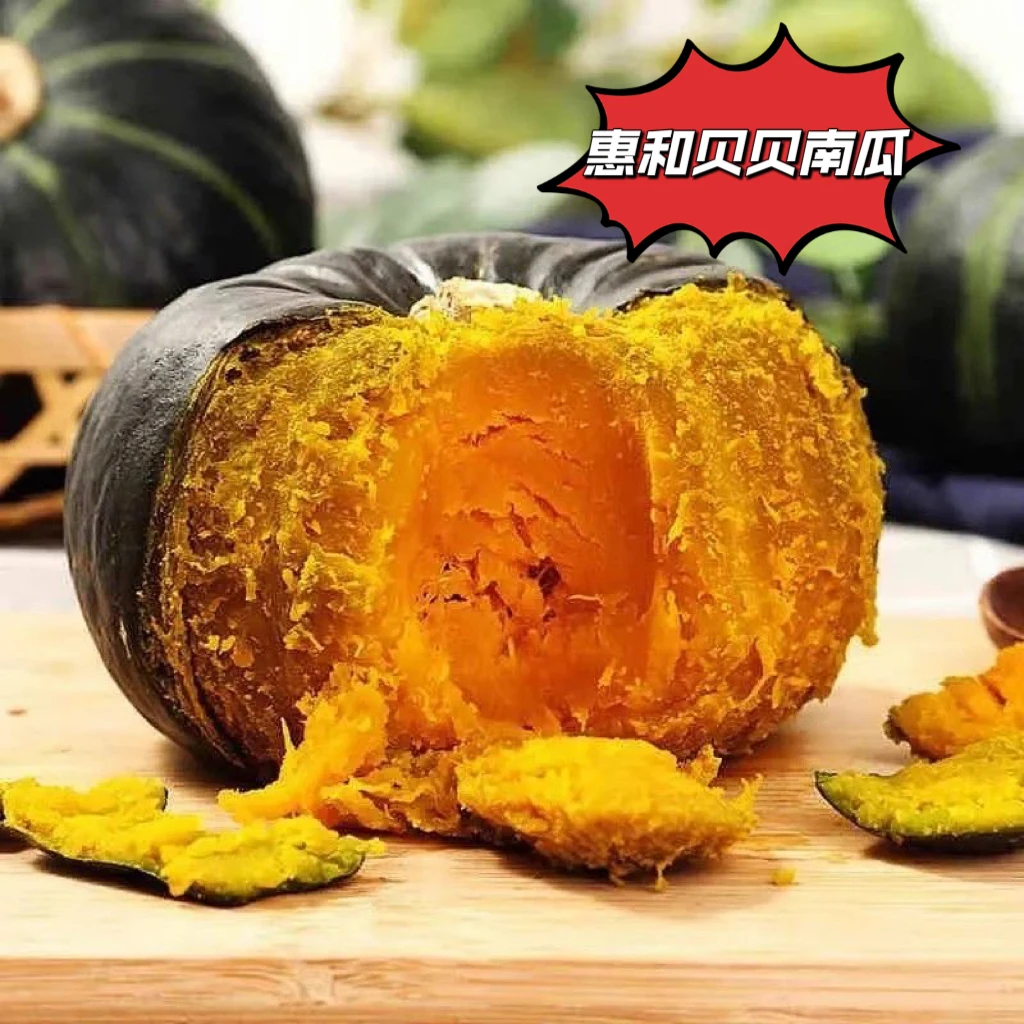 正宗山东惠和1号贝贝南瓜4.5斤 粉糯香甜建议糖化三四天TZ