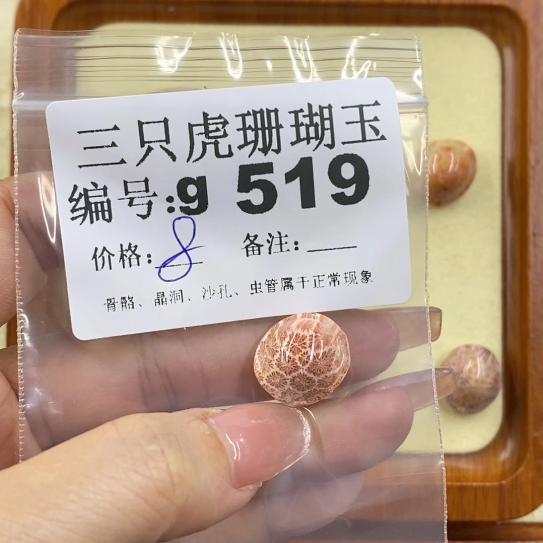 硅化珊瑚（珊瑚玉）未镶嵌1虹**光