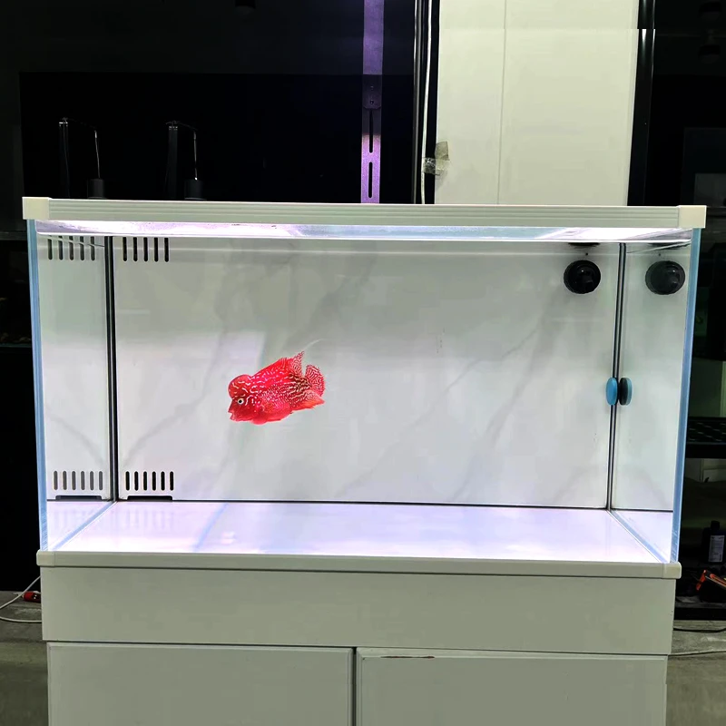 【丁小宇专属】2025新款背滤鱼缸家用小型鱼缸干湿分离过滤客厅一体