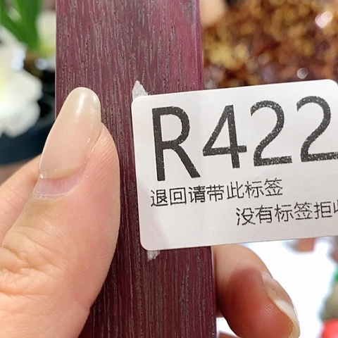 大叶紫檀（黑酸枝木类）422