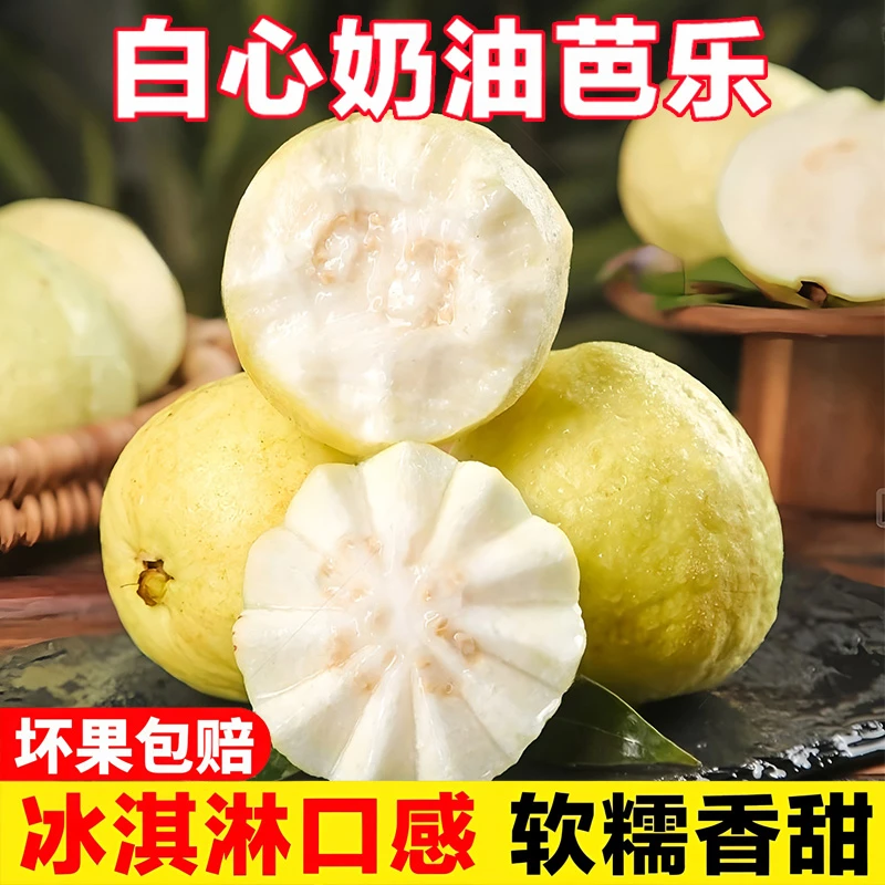 【顺丰包邮】正宗树上熟泰国白翡翠奶油芭乐软芭乐番石榴新鲜水果
