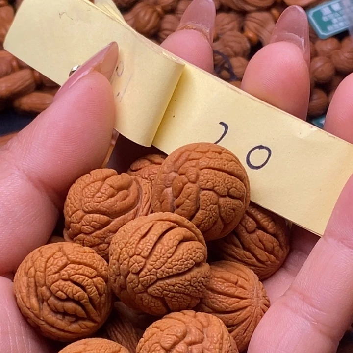 秦岭龙纹桃核13颗