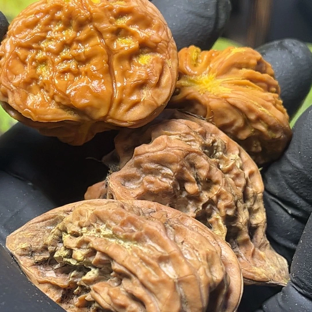 把件文玩核桃乐**中半壁江山