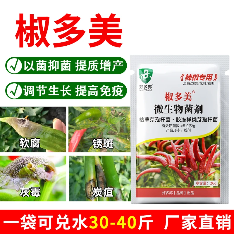 椒多美辣椒病菌清辣椒软腐灰霉叶斑青枯菌核花皮烂果微生物菌剂