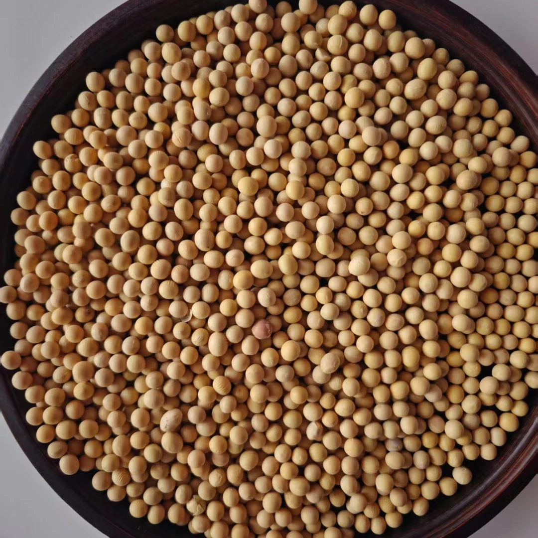 云南高山高海拔黄豆DS