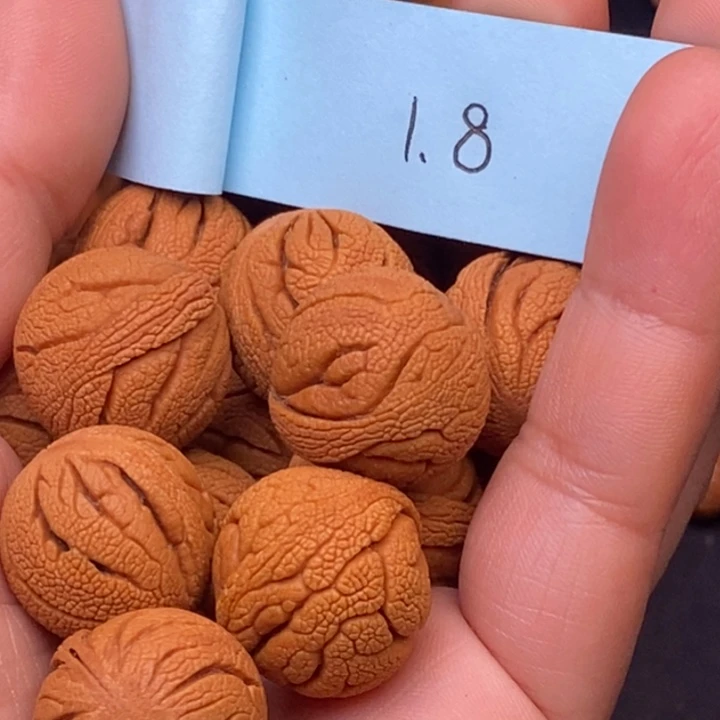 秦岭龙纹桃核14颗