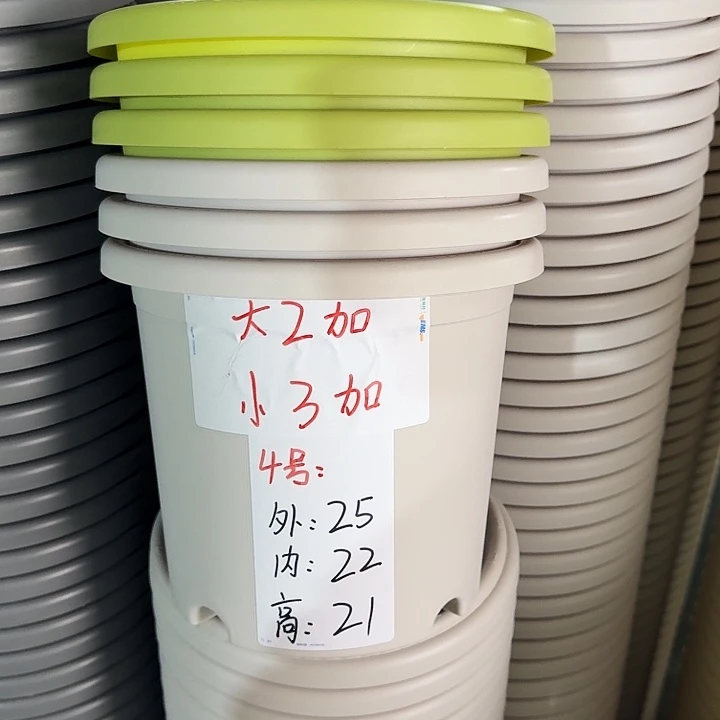 四季4#口径25灰白5个无托