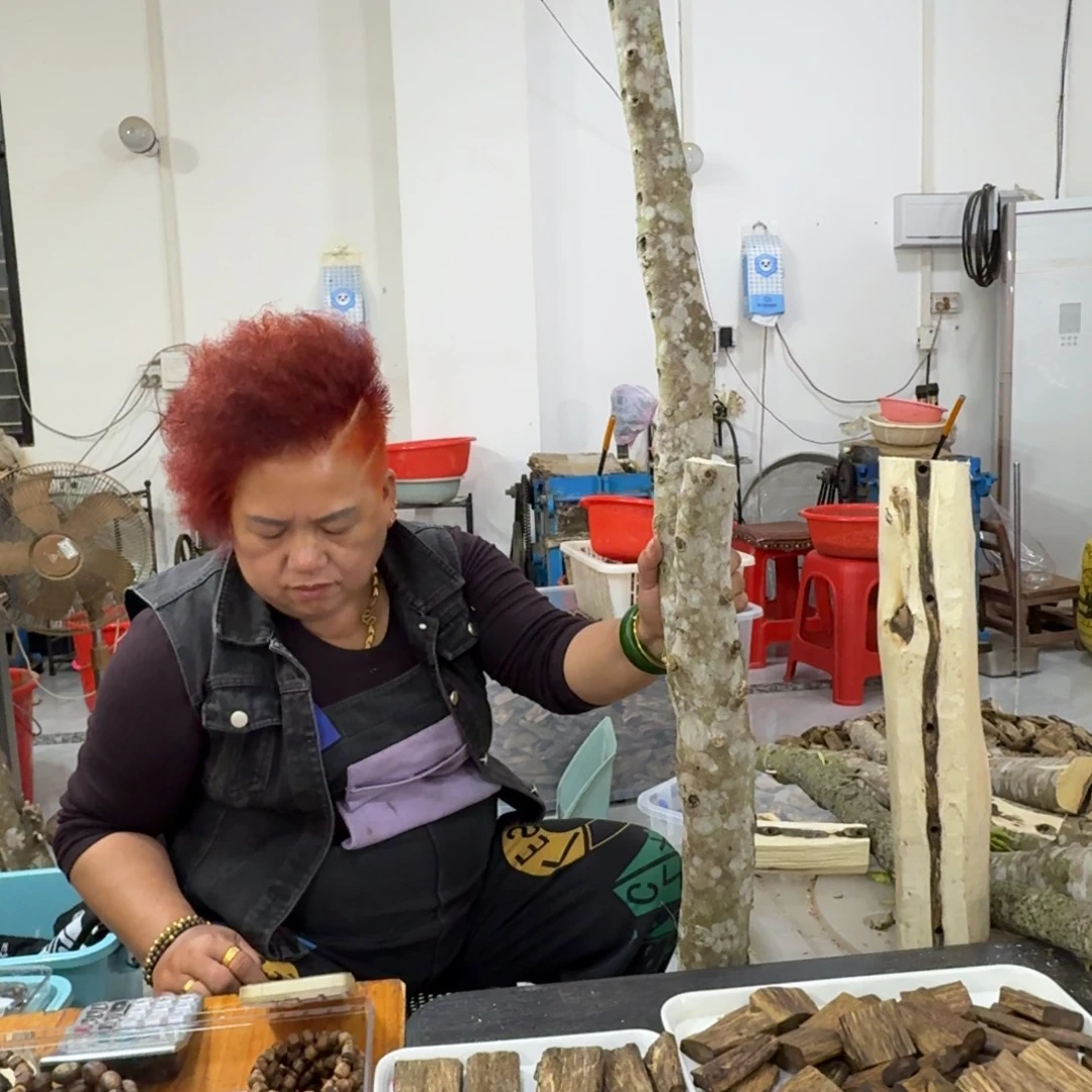 J***》线香奇楠沉香原木