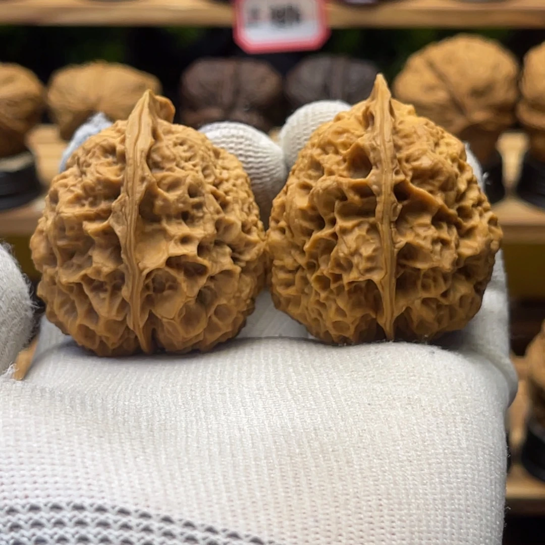 核桃41mm名铁三星堆 一物一图