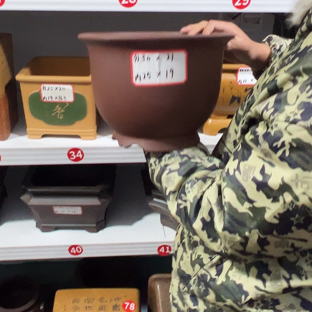 紫砂其他紫砂花盆