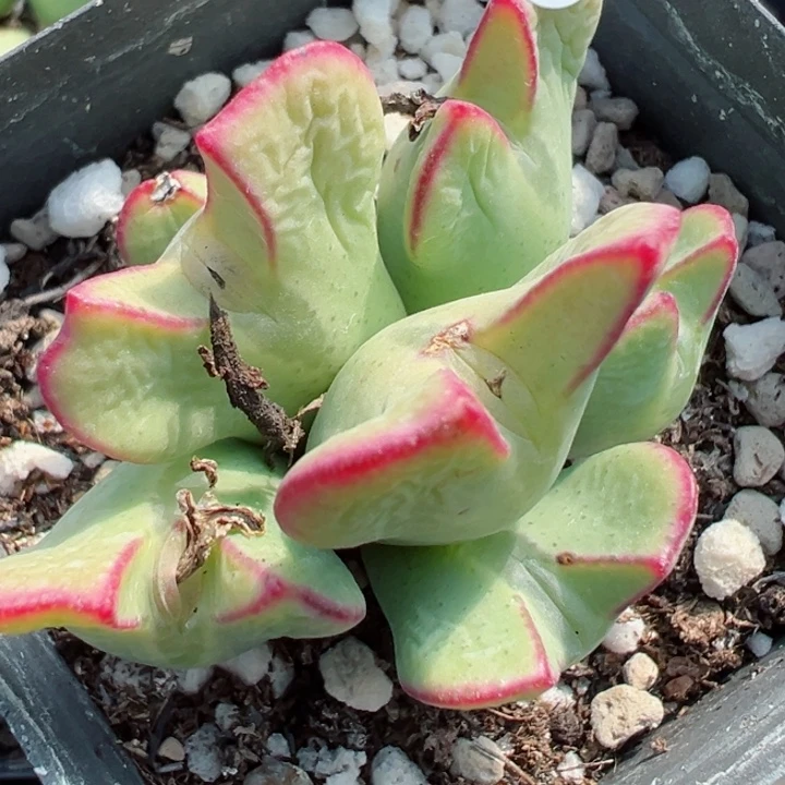 板**?121号111111111111111111