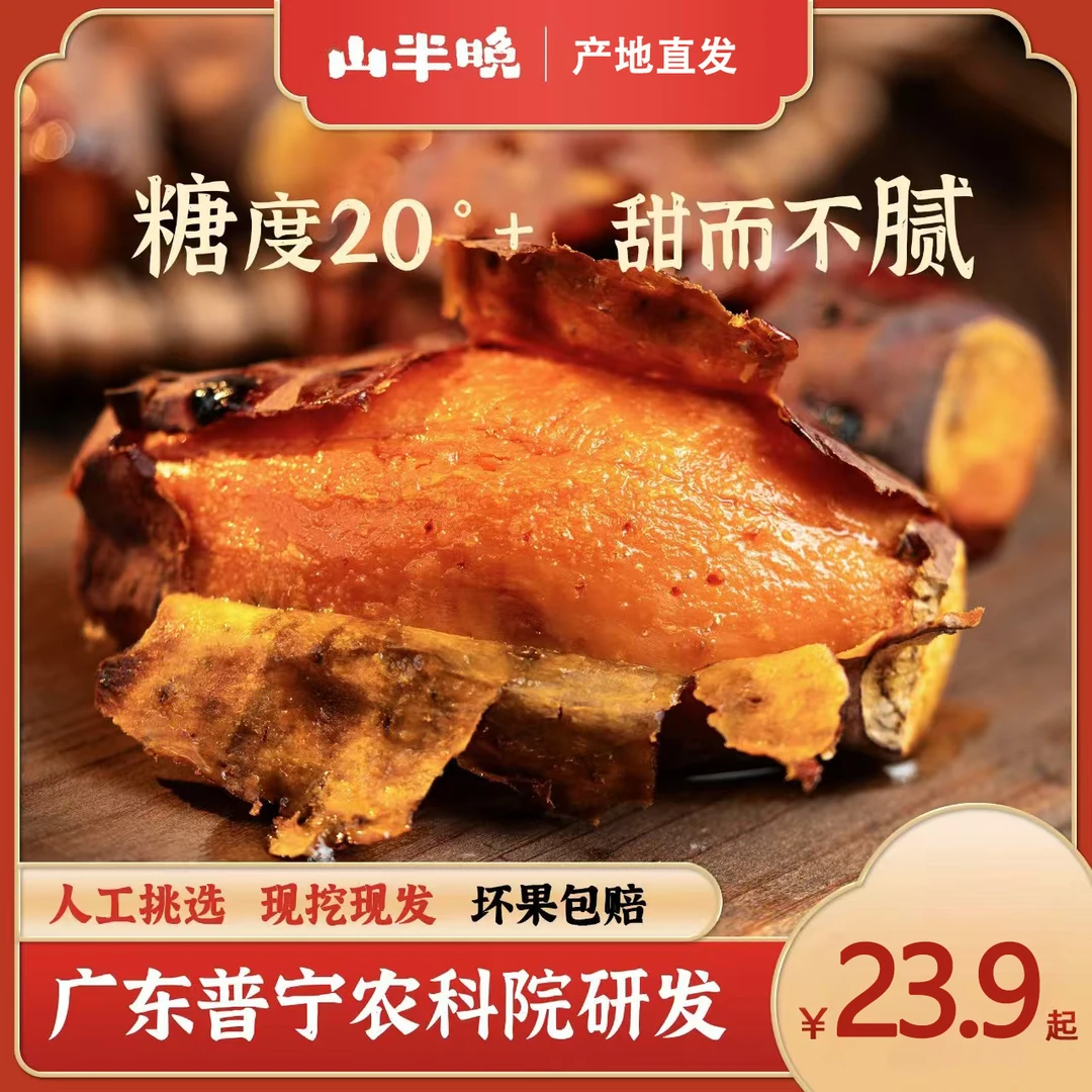 【糖度20+】热卖已糖化正宗普薯32号糖心蜜香甜软糯无渣湛江西瓜红