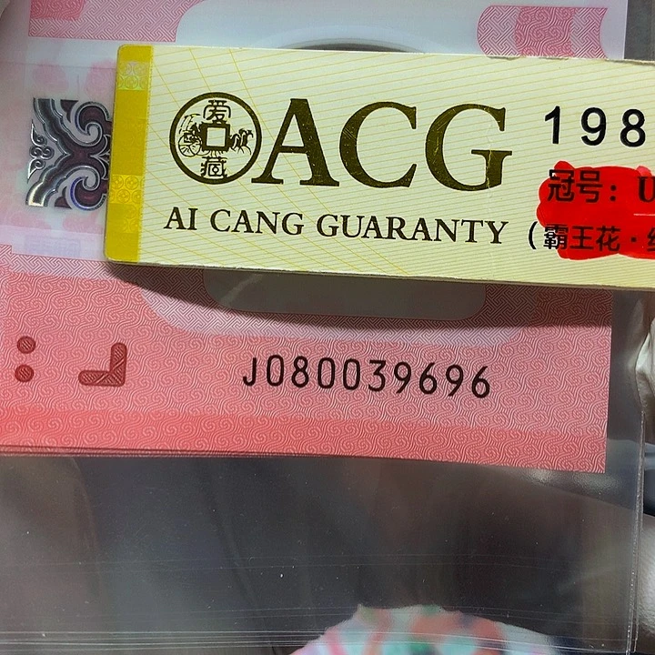 一张一张一张一张一张一张一张