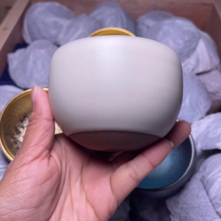 茶盏乐乐乐乐乐乐乐乐