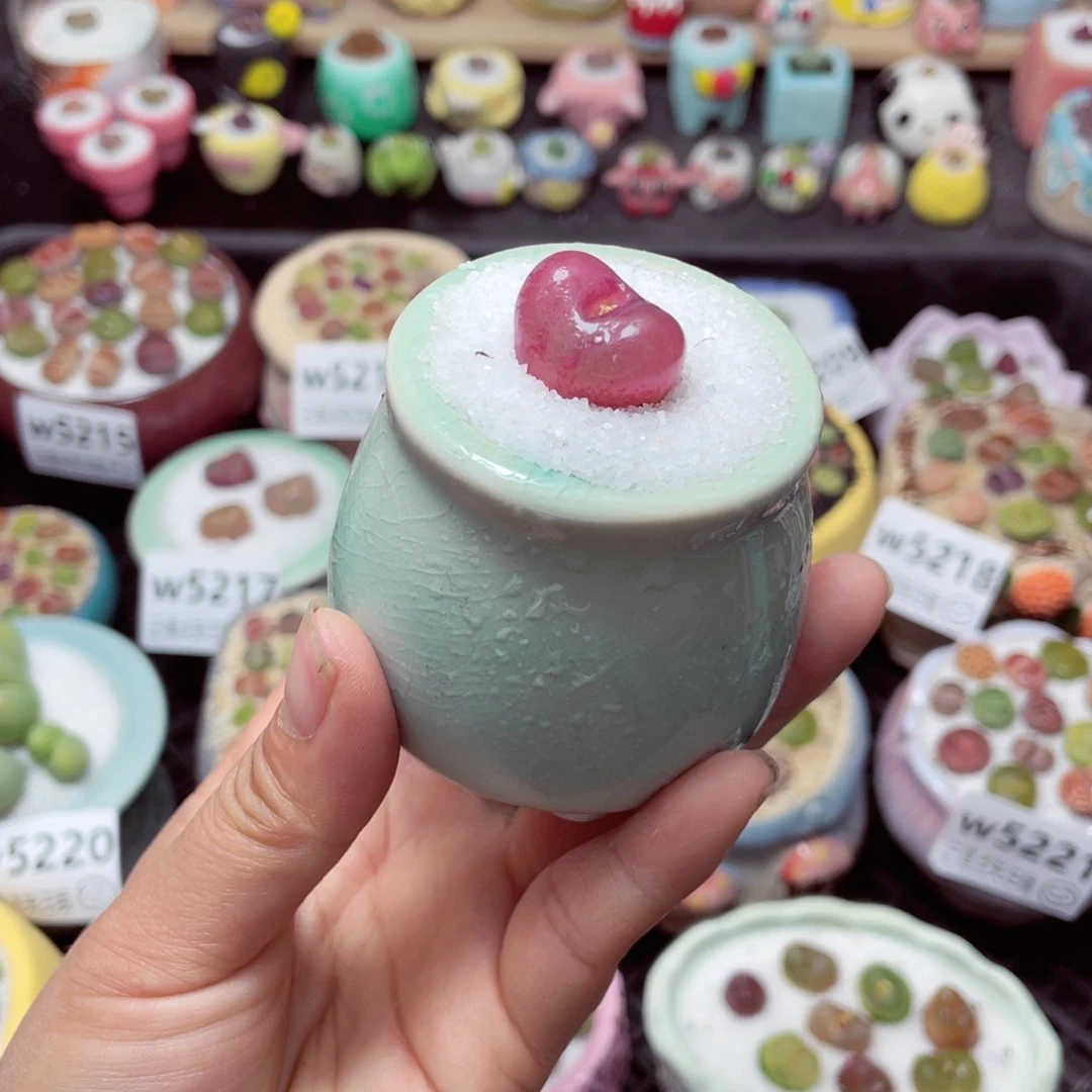 w5228 带盆土发货-零下地区拍保温箱