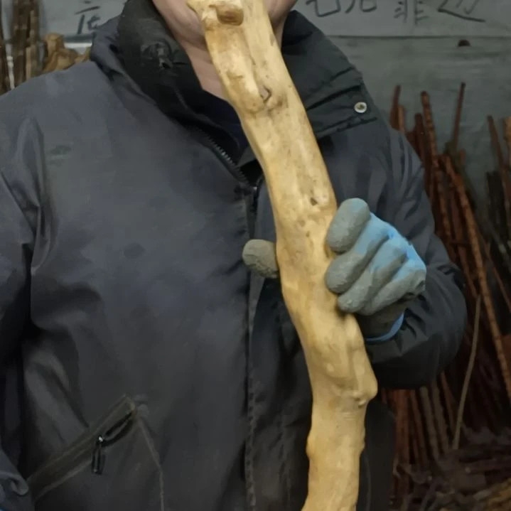 稳定木苏*蜜贵州檬子木   铁马鞭   根艺  半成品