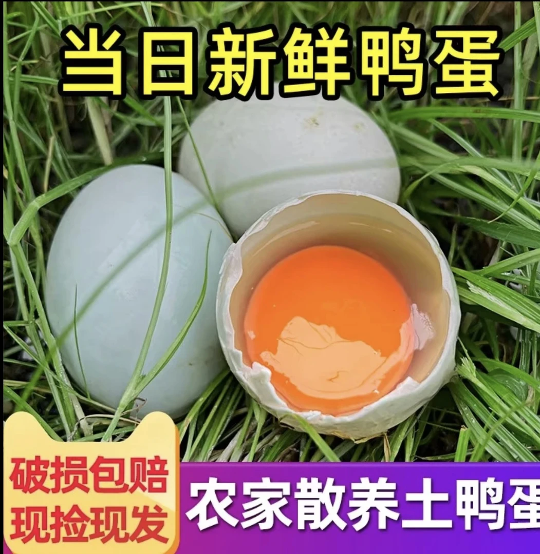 散养绿壳土鸭蛋新鲜农家蛋现捡现发