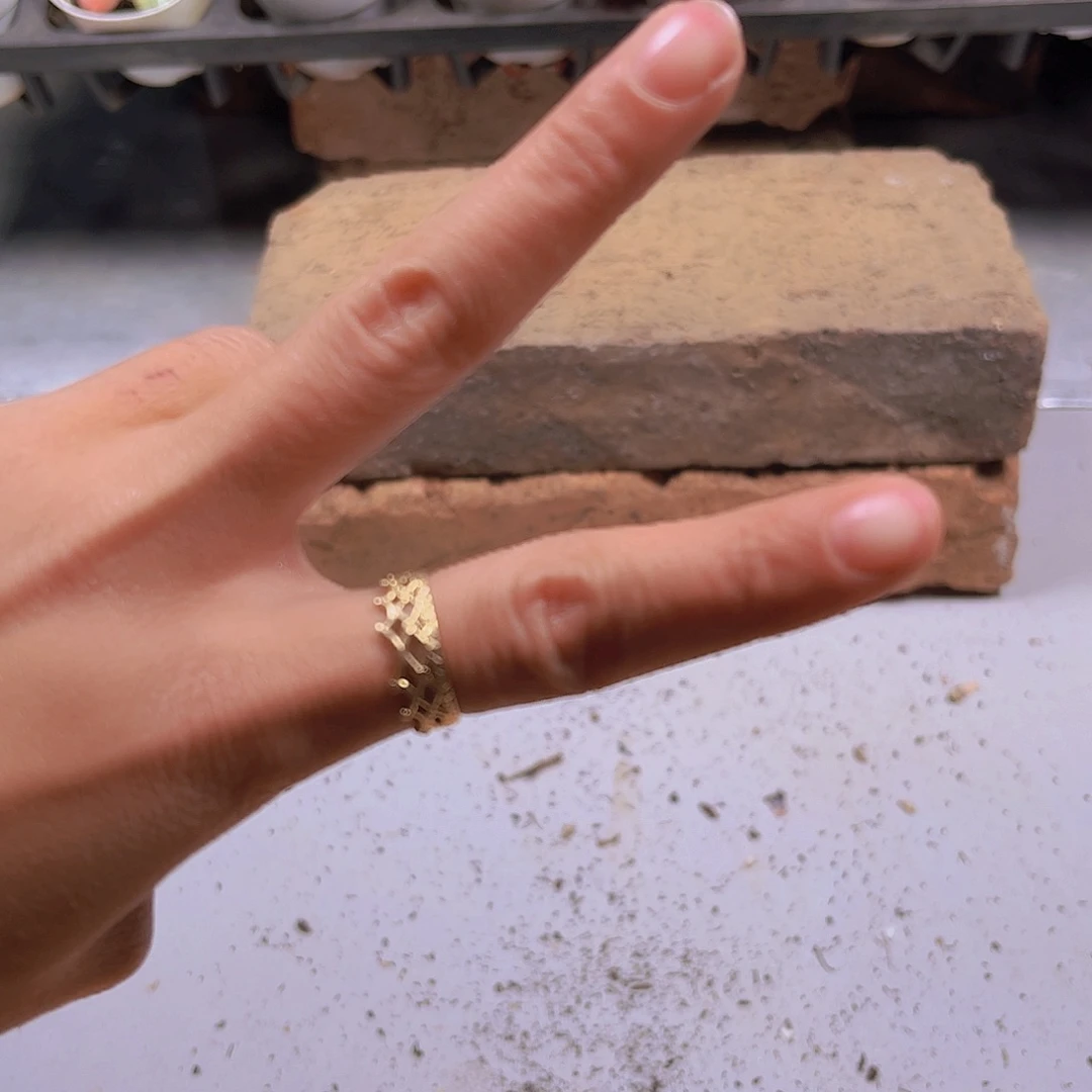 ༄****多肉植物组合67.83