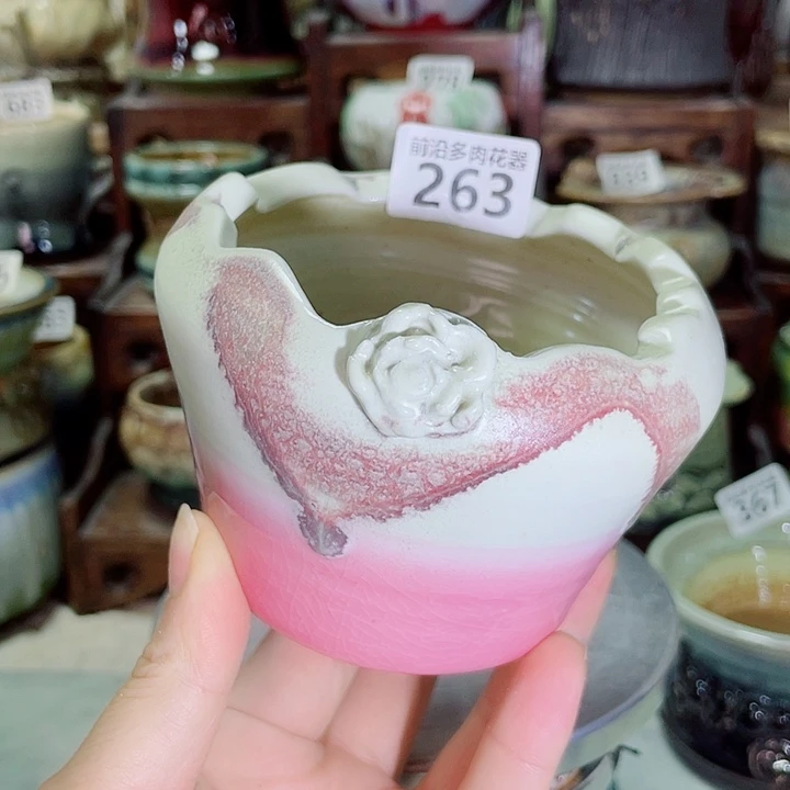 狼盆内口径8高度8
